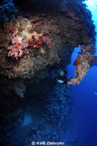 Near the reef by Kirill Zinovyev 